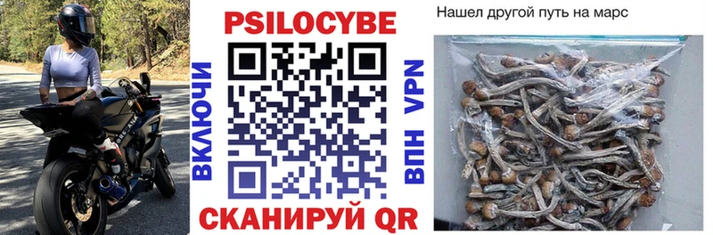 Псилоцибиновые грибы прущие грибы  МЕГА как войти  Донецк 