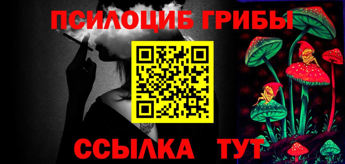 где продают   Донецк  Галлюциногенные грибы Cubensis 